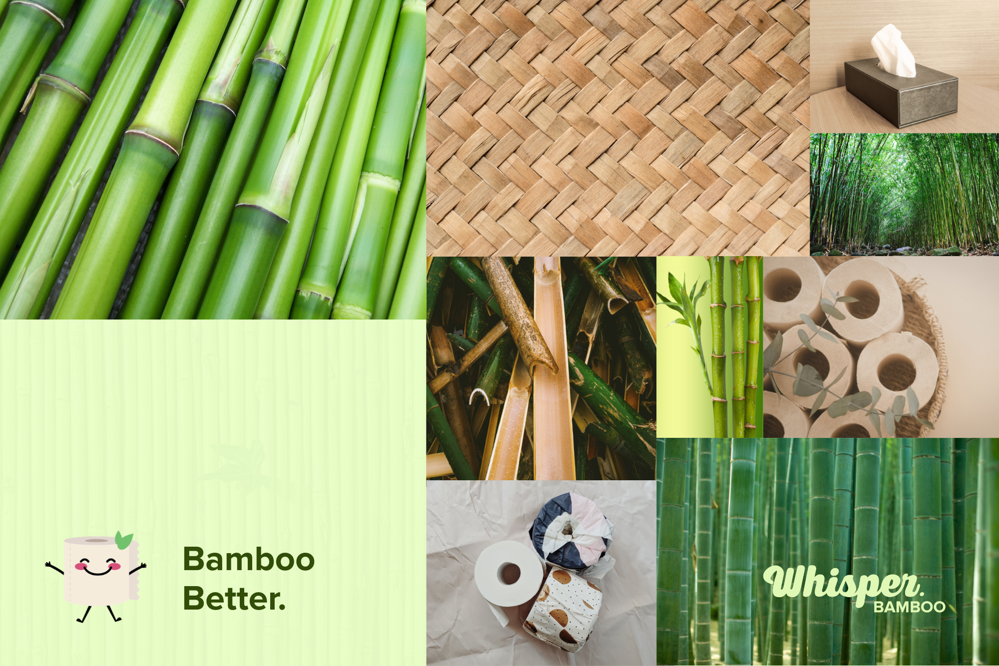Benefits of Bamboo Paper Products: Toilet Paper, Paper Towels and More!
