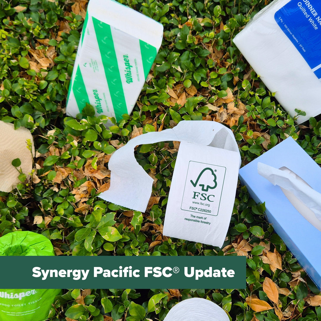 Synergy Pacific FSC Update, Whisper branded products in leaves that are green and brown