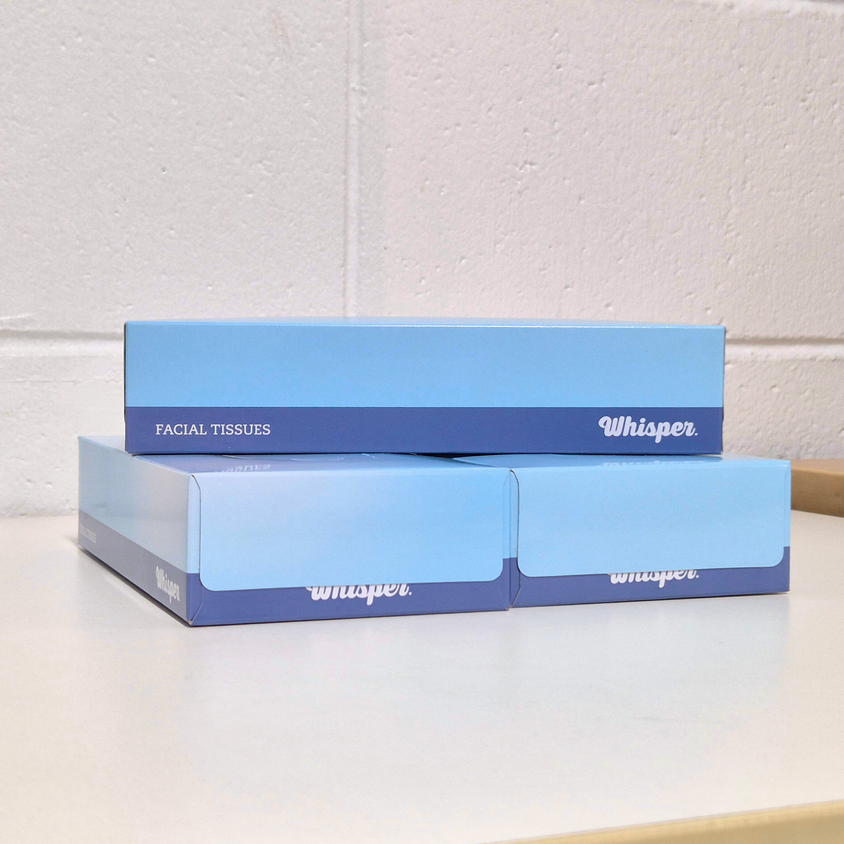 Facial Tissues 2ply 100 sheets