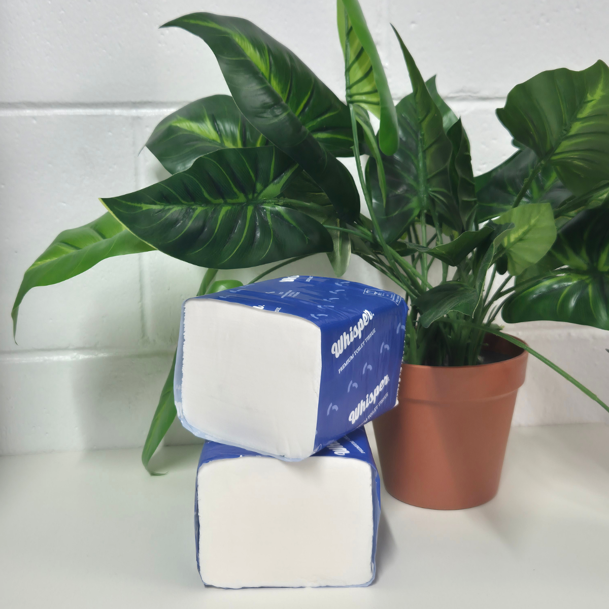 A pack of interleaved 2ply toilet tissue with the brand 'Whisper' printed in blue text on a white background, indicating a premium quality product, toilet paper, high traffic washrooms, plant in background, white brick and white floor