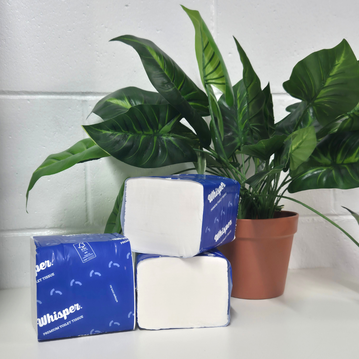 A pack of interleaved 2ply toilet tissue with the brand 'Whisper' printed in blue text on a white background, indicating a premium quality product, toilet paper, high traffic washrooms, plant in background, white brick and white floor