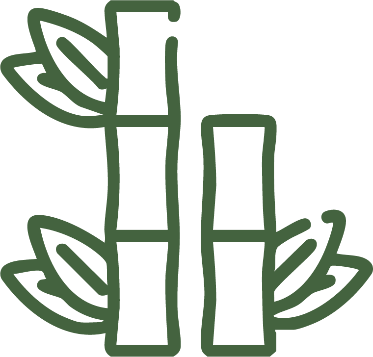 Green outline of bamboo stalks with leaves, bamboo toilet paper, bamboo tissue paper, bamboo hand towels, bamboo paper products