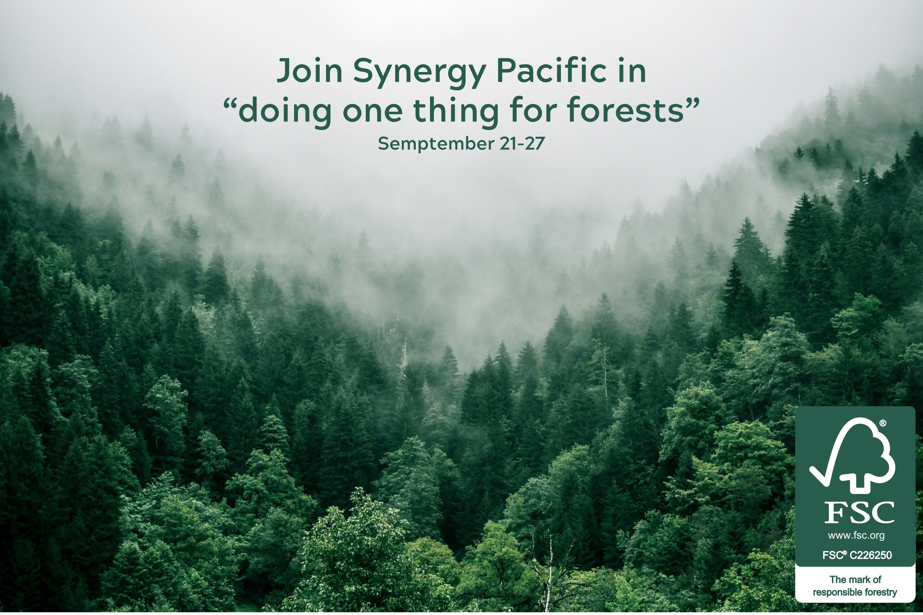 Join Synergy Pacific in "doing one thing for forests", forest of green trees with fog