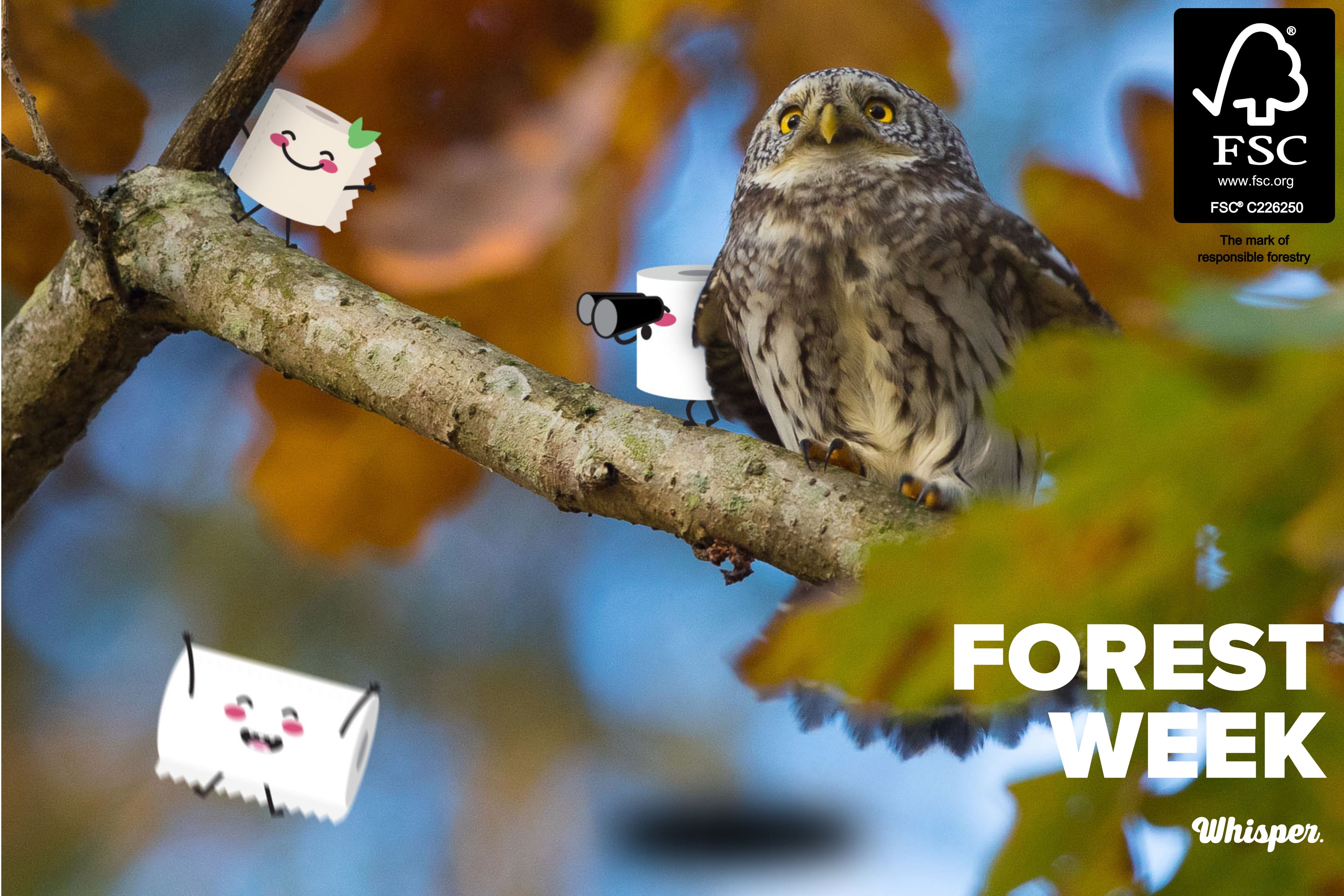 FSC Forest week 2025, Owl and little Whisper characters playing in the trees, autumn orange fall leaves