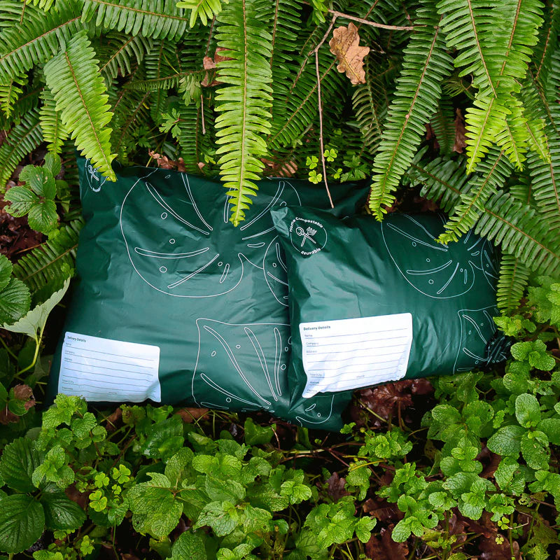 Ecopack compostable mailing bags, courier bags, green, leave design, double seal, reusable seal, A3 size, in garden, plants