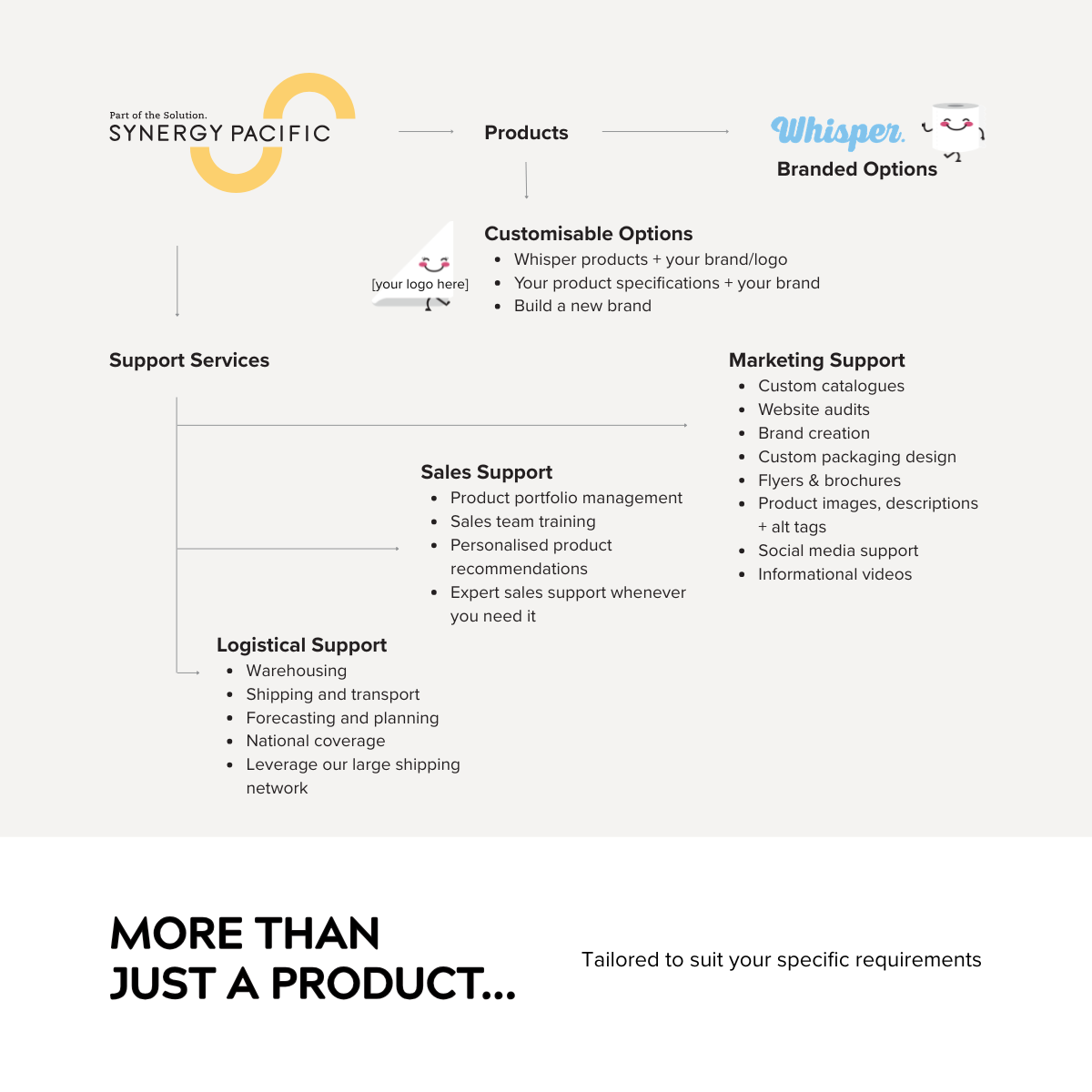 Synergy Pacific's products and services, more than just a product, mindmap of what Synergy Pacific can offer, products, support services, marketing suppory, sales support, logistical support